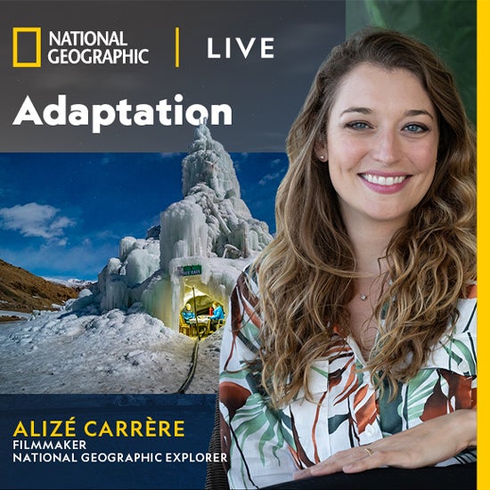 More Info for NATIONAL GEOGRAPHIC LIVE: ADAPTATION with Filmmaker ALIZÉ CARRÈRE