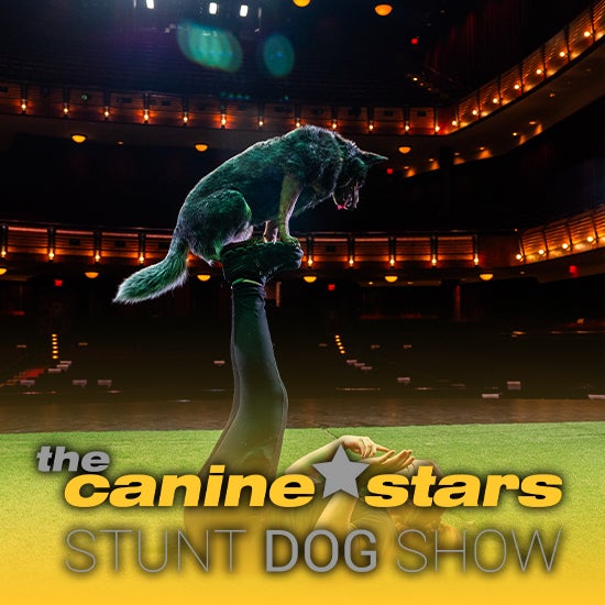 More Info for The Canine Stars Stunt Dog Show