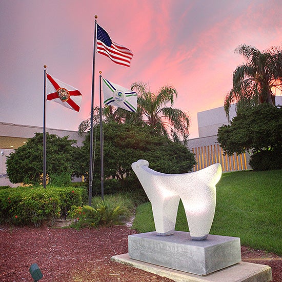 Photo Galleries Coral Springs Center For The Arts
