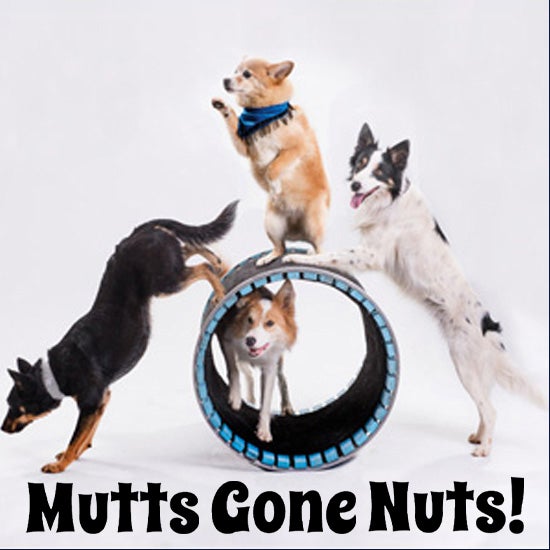 More Info for Mutts Gone Nuts!